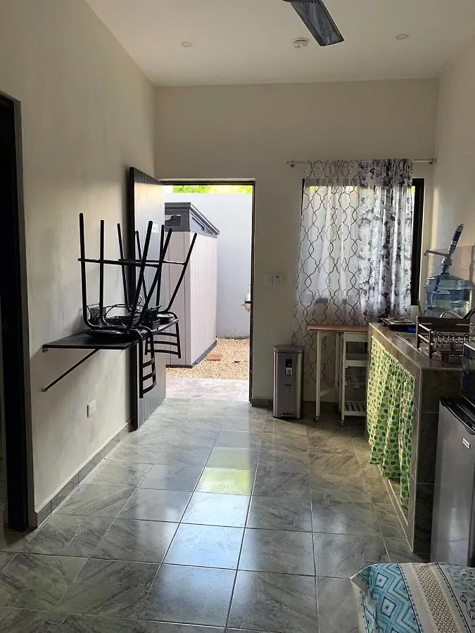 #5 Magnificent Cute Downtown Apartment - Daily/Monthly Tulum Mexico